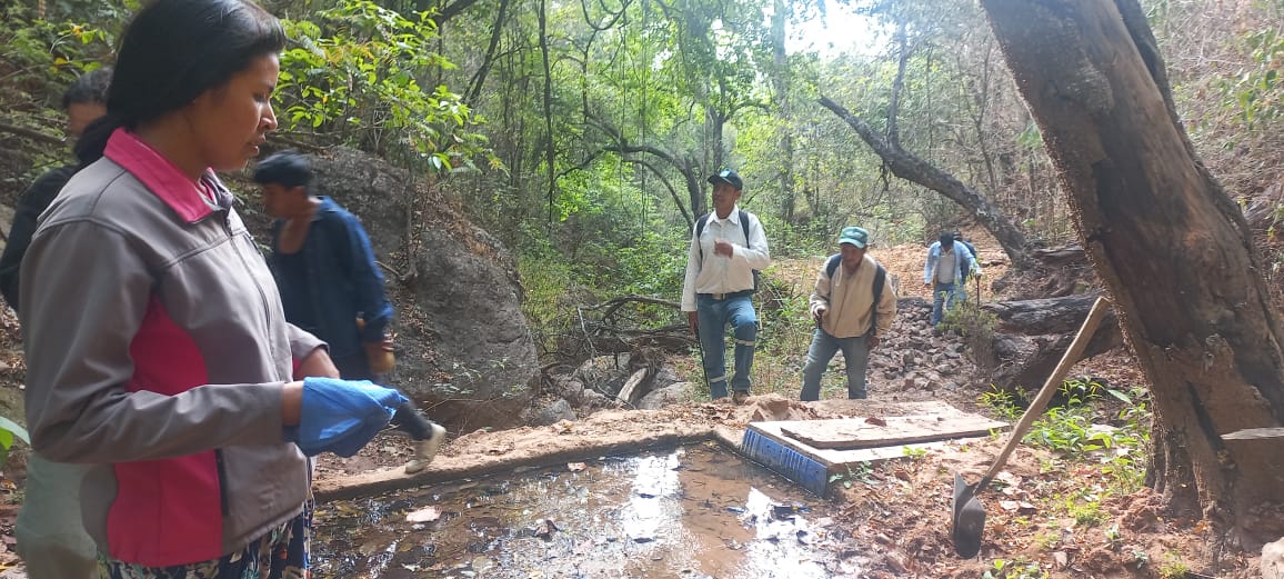 Conservación de los Ojos de Agua en la Capitanía Huacaya: Un Proyecto que busca fortalecer la gestión de los territorios