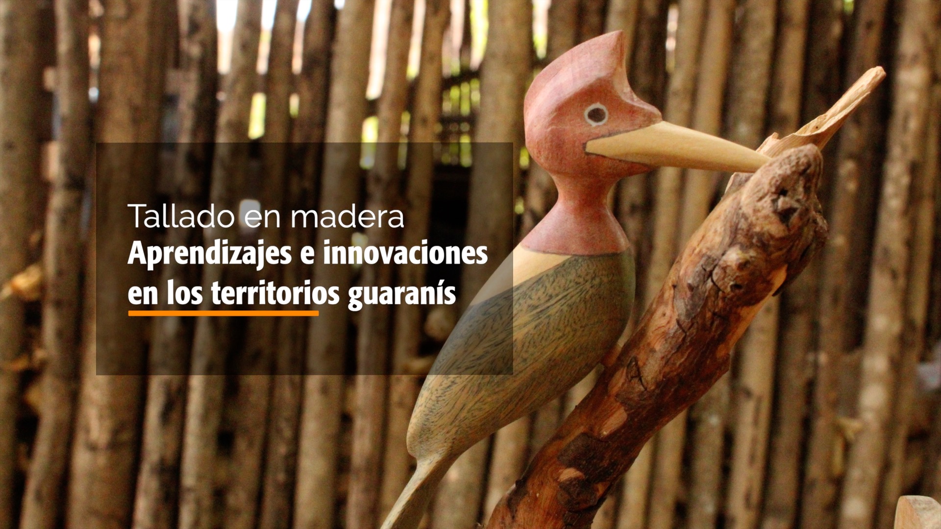 Nuevo video sobre innovaciones en tallado de madera en comunidades guaraníes de Bolivia