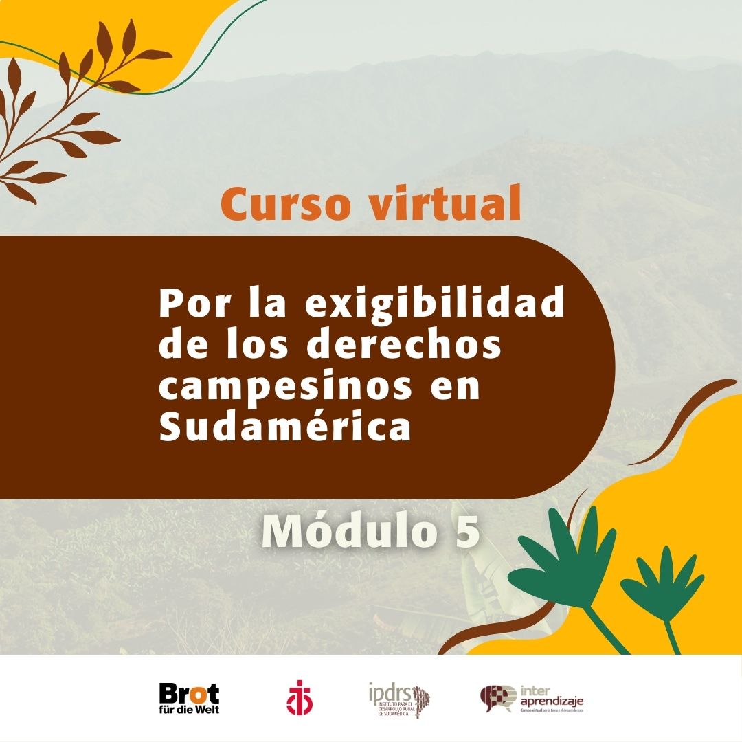 Daniela Mariotti: Guiando el 5to módulo del curso virtual «Por la Exigibilidad de los Derechos Campesinos en Sudamérica»