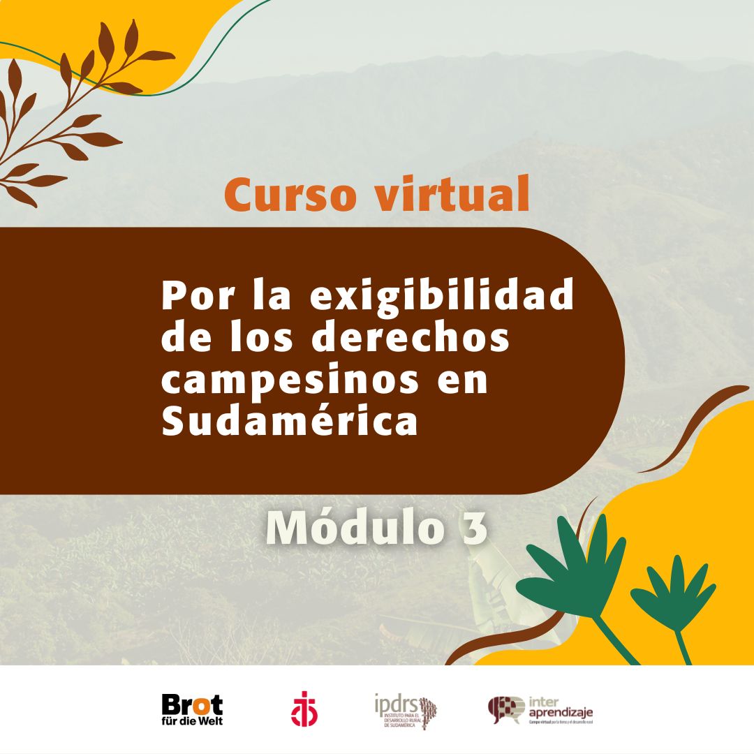 Gloria Holguín Reyes: Guiando el 3er módulo del curso virtual «Por la Exigibilidad de los Derechos Campesinos en Sudamérica»