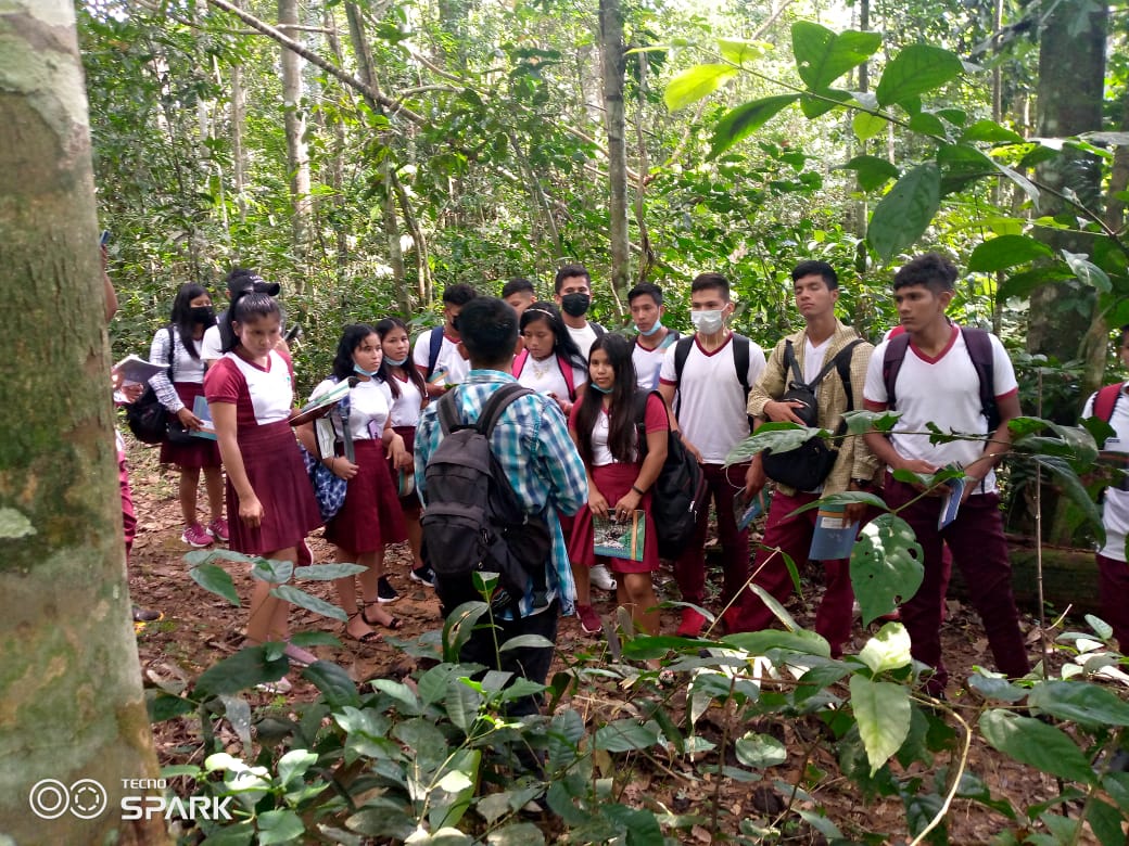 Preparamos un programa formativo por la defensa de la Amazonía y la justicia climática