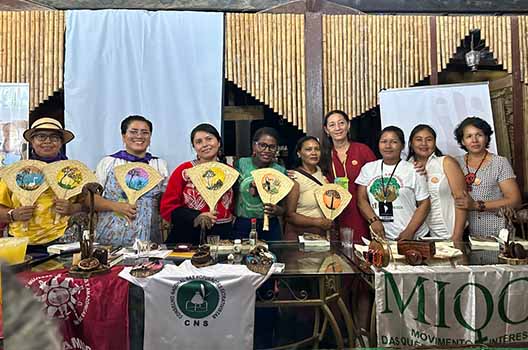 Mujeres Amazónicas en el FOSPA. Una ruta crítica desde el cuidado hacia la sostenibilidad de la vida