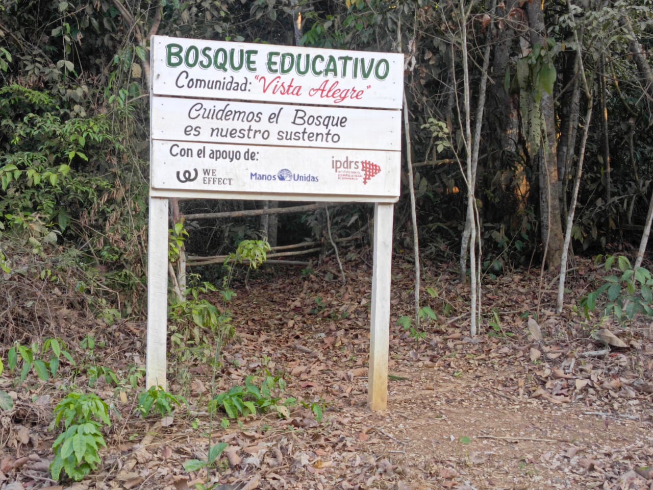 Ingreso al Bosque Educativo de la Comunidad Vista Alegra, IPDRS_Amazonía, 2024