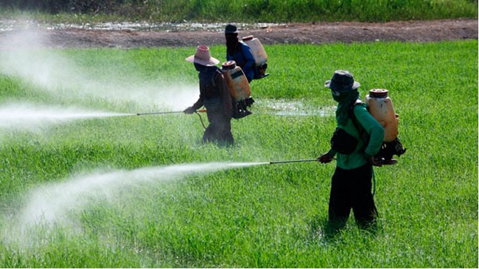 Estudio comparativo sobre Plaguicidas químicos de uso agrícola en países y territorios de la CAN y Mercosur