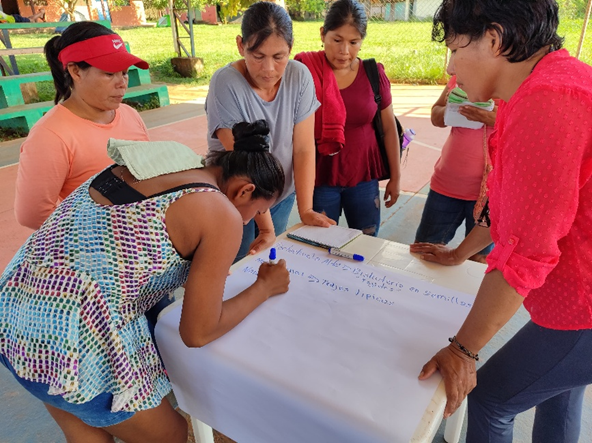 Taller de fortalecimiento organizacional, IPDRS 2024