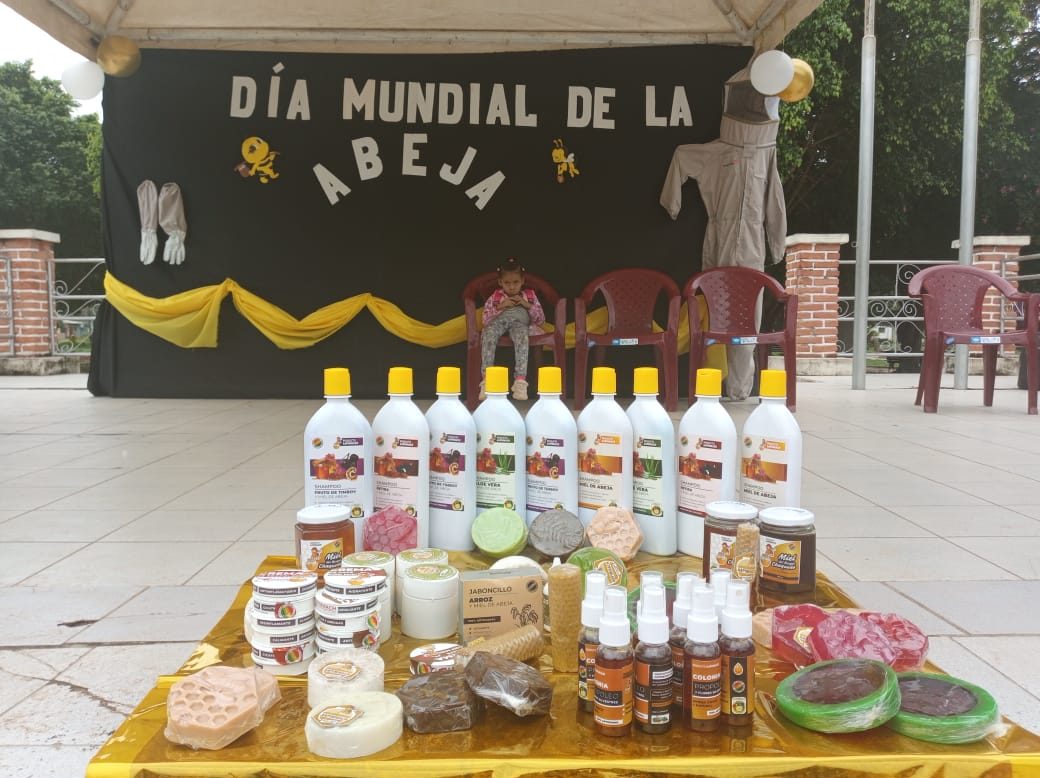 Dia Mundial de las Abejas