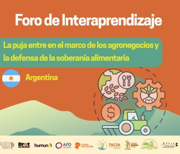 Lectura colectiva del estudio regional sobre plaguicidas químicos de uso agrícola – DOCUMENTO ARGENTINA.