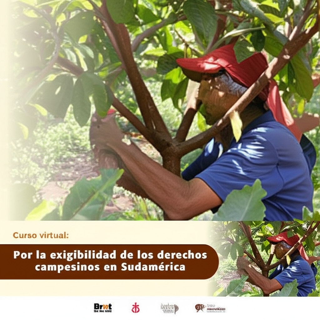 Por la exigibilidad de los Derechos de los Campesinos en Sudamérica