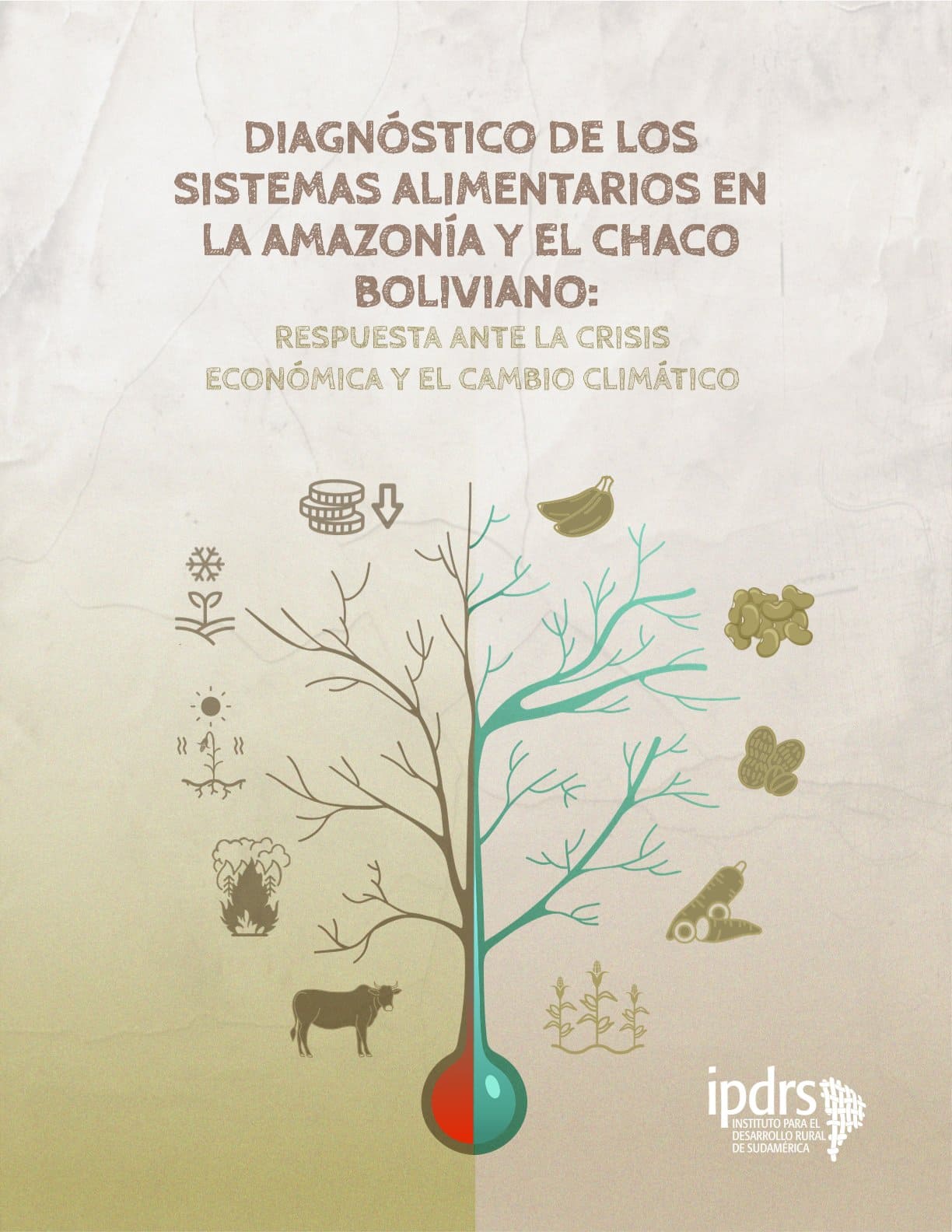 Diagnóstico de los sistemas alimentarios en la Amazonía y el Chaco boliviano: Respuesta ante la crisis económica y el cambio climático