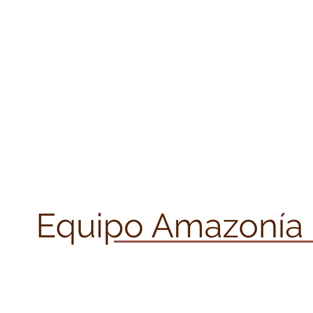IPDRS%20 Instituto%20para%20el%20Desarrollo%20Rural%20de%20Sudamérica