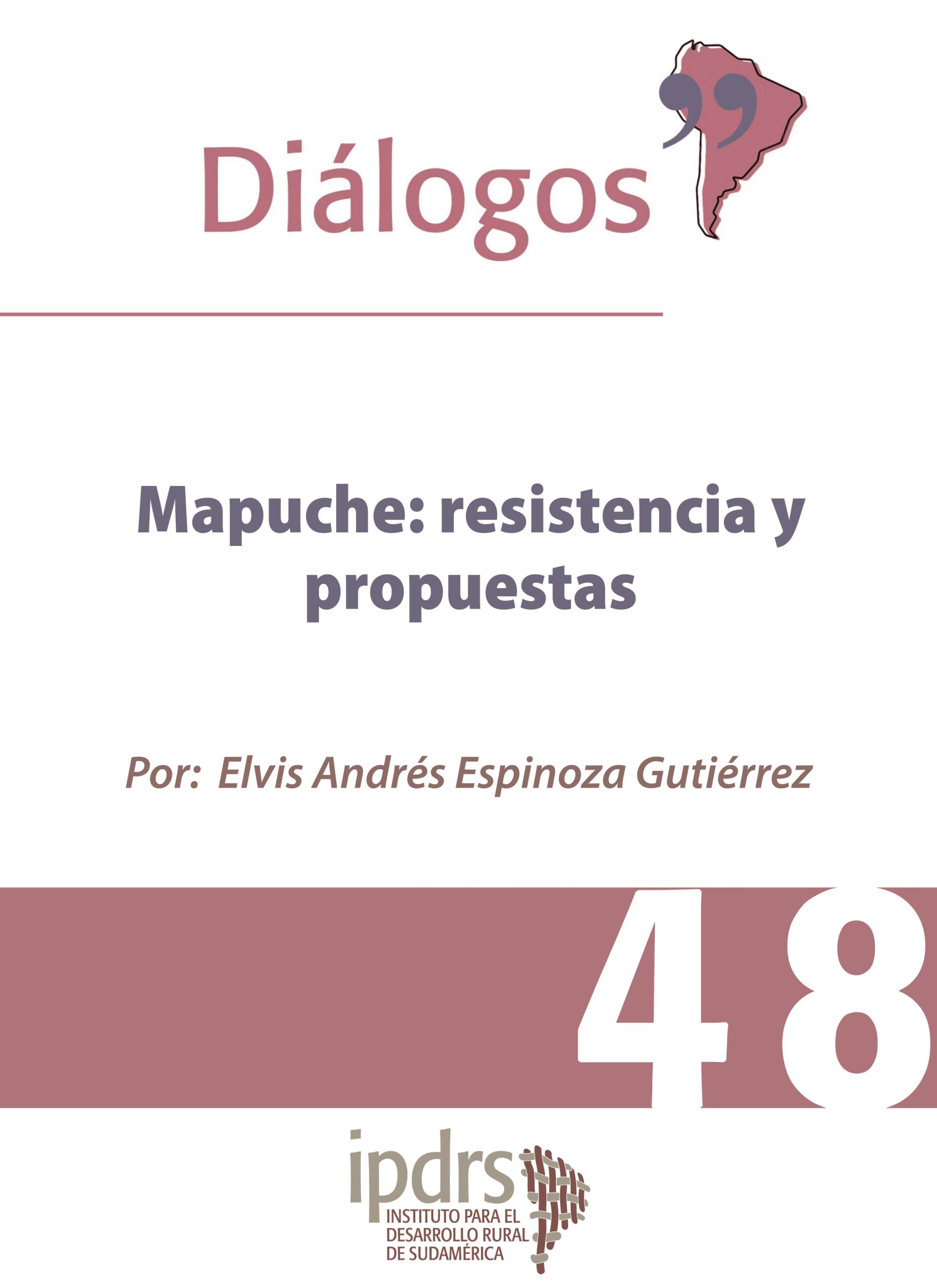 Mapuche: resistencia y propuestas