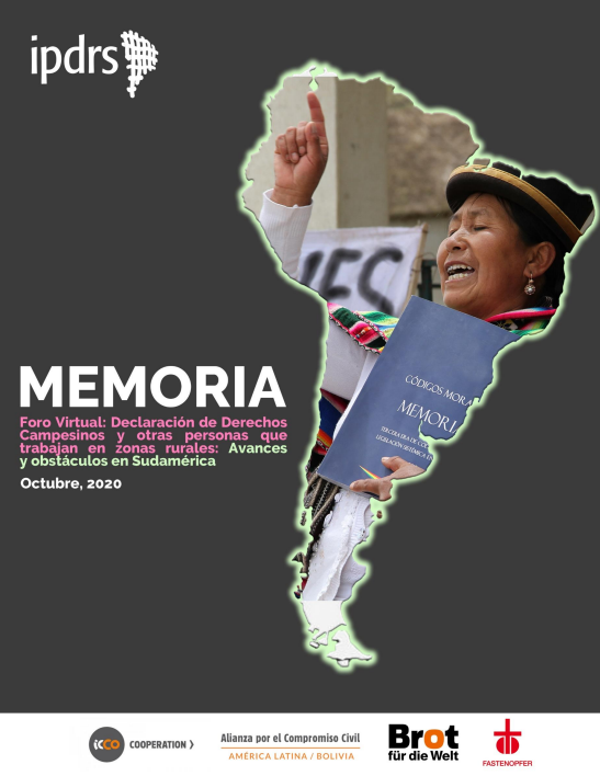 Memoria Foro Virtual: Avances y obstáculos para la ratificación de la Declaración de las Naciones Unidas sobre los Derechos de los Campesinos y de Otras Personas que Trabajan en las Zonas Rurales en Sudamérica