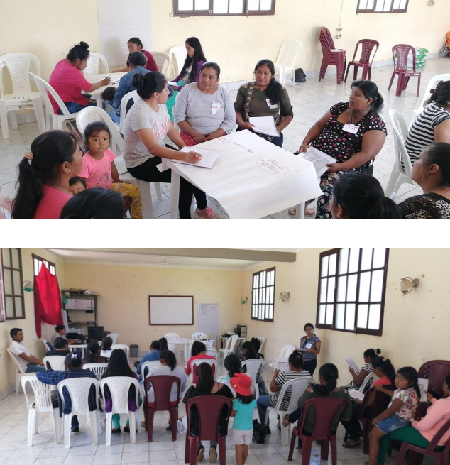 Agenda de iniciativas económicas de las mujeres de la Capitanía Zonal Santa Rosa (Huacaya)