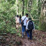 Ingreso BE Blanca Flor