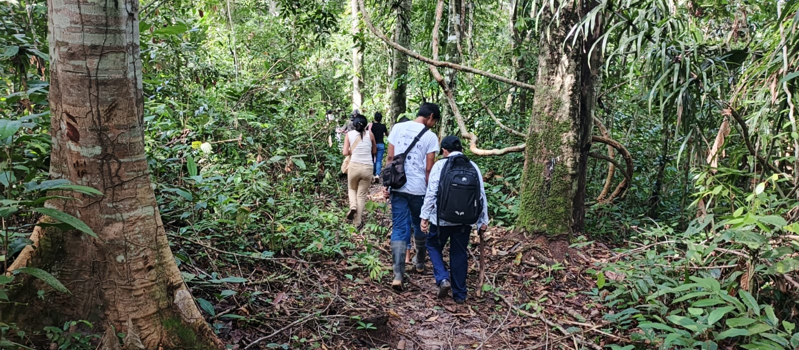 Ingreso BE Blanca Flor