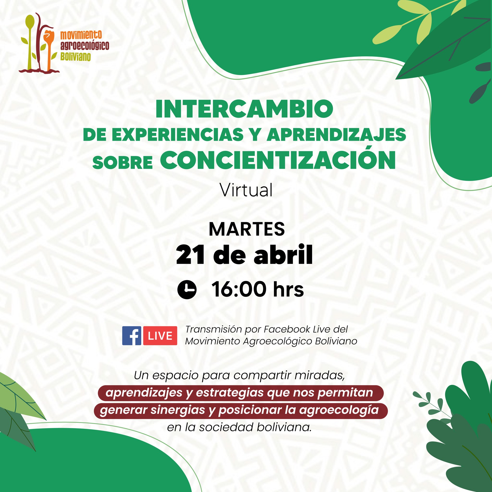 Intercambio de experiencias y aprendizajes sobre concientización