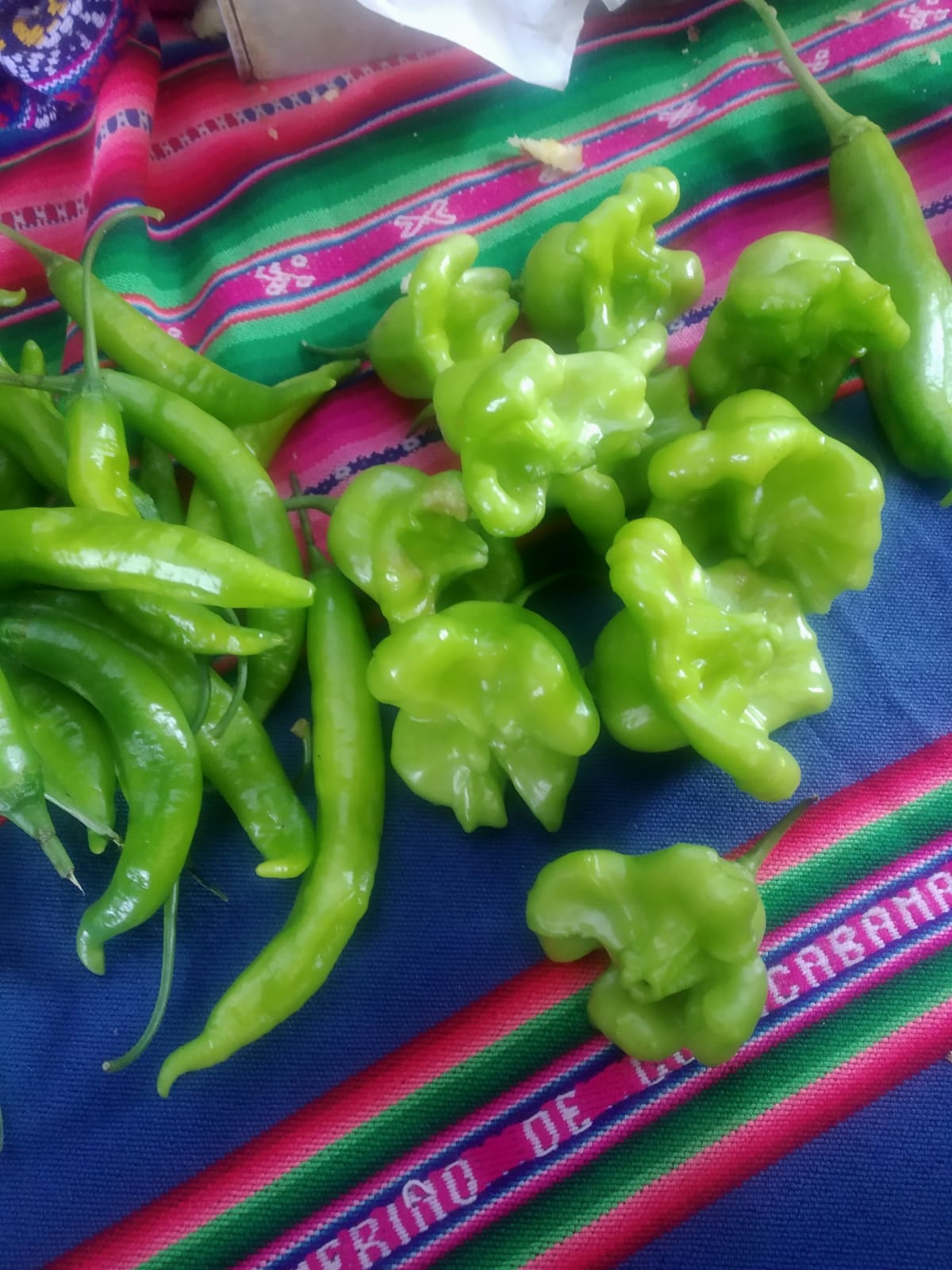 Feria Elemental: un espacio para el encuentro de productores agroecológicos y consumidores informados.