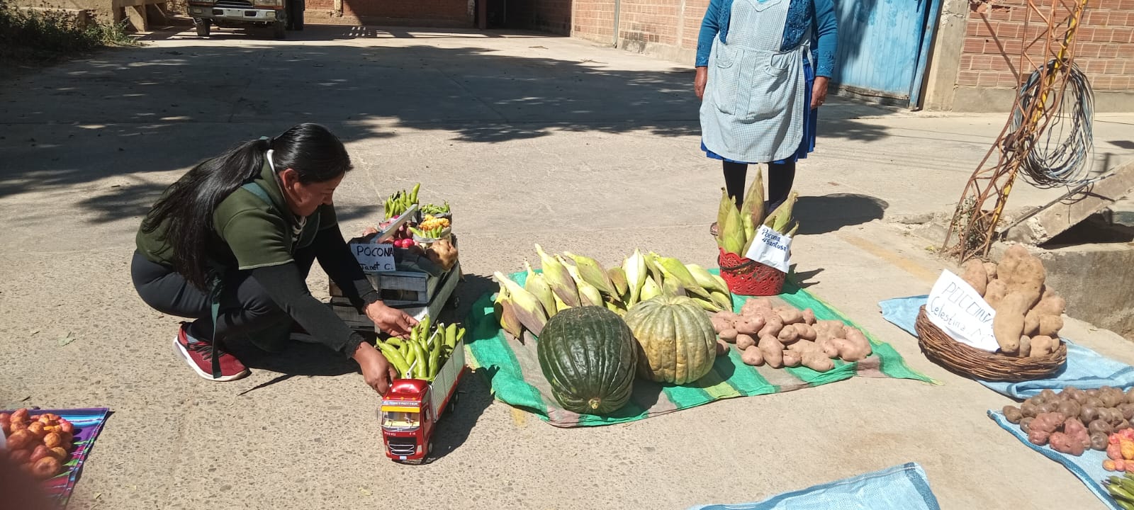 Educación en mercados: IPDRS PARTICIPA EN LA FERIA DE LA PAPA Y SEMILLA