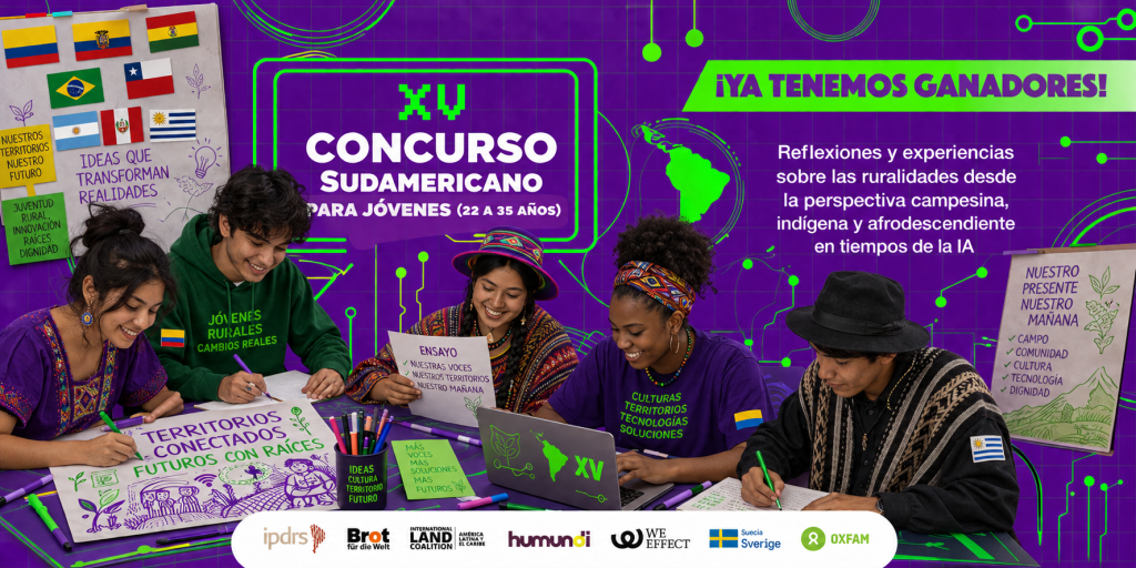 XV Concurso IPDRS