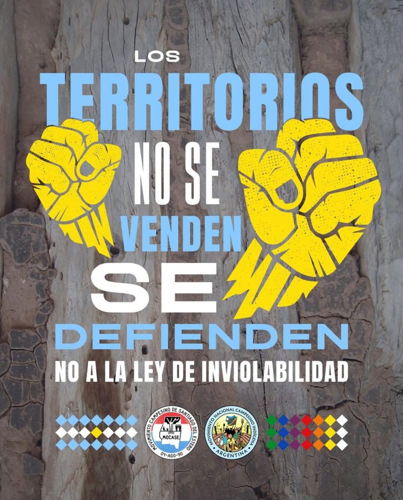 Foto: Gentileza de Mocase Vía Campesina / Argentina