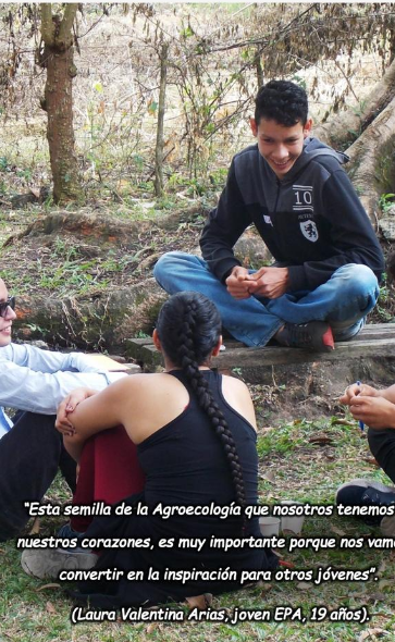 Imagen 2