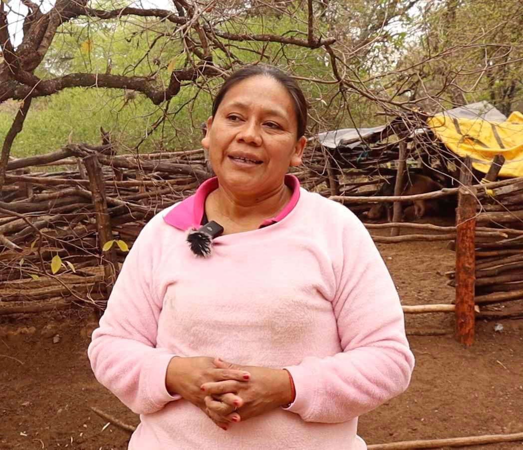 Criar es cuidar: producción audiovisual sobre experiencias de pastoreo en Huacaya
