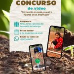 Concurso video huerto