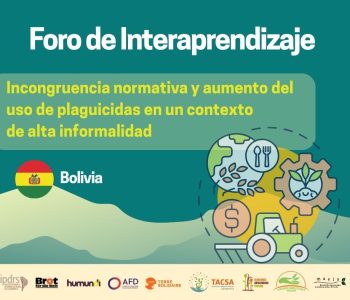 Copia di arte 5 junio plaguicidas
