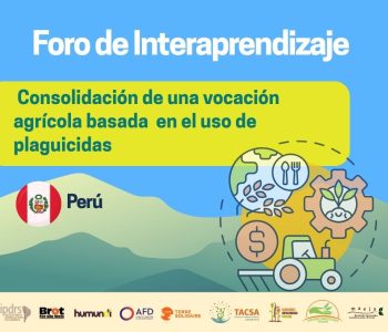 Imagen de WhatsApp 2025-06-02 a las 16.07.23_e0639aef